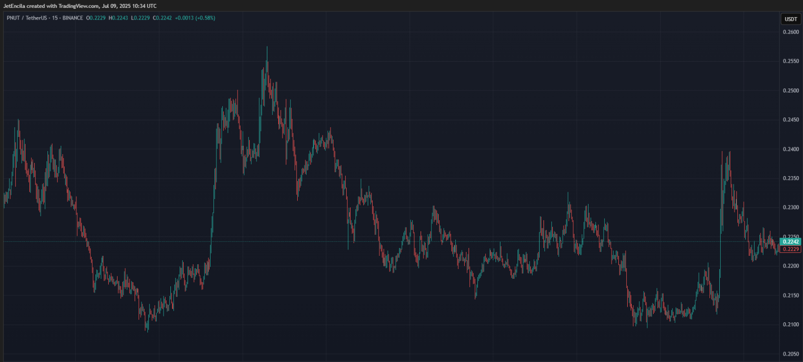 Elon Musk Drops Epstein ‘Peanut’ Bomb — PNUT Coin Explodes 10% Elon Musk Drops Epstein ‘Peanut’ Bomb — PNUT Coin Explodes 10%