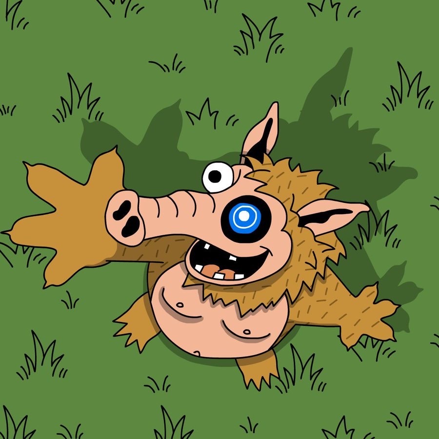 Toshi Price Up Despite Market Dip – Best Meme Coins That May Follow