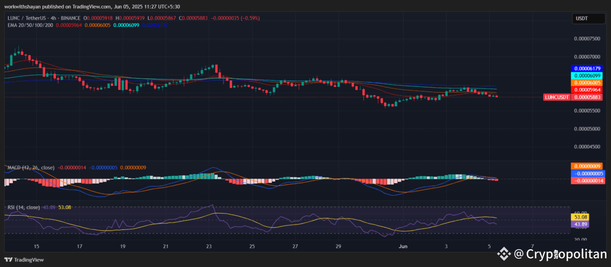 Terra Luna Classic Price Prediction 2025-2031: Is LUNC A Good Investment?