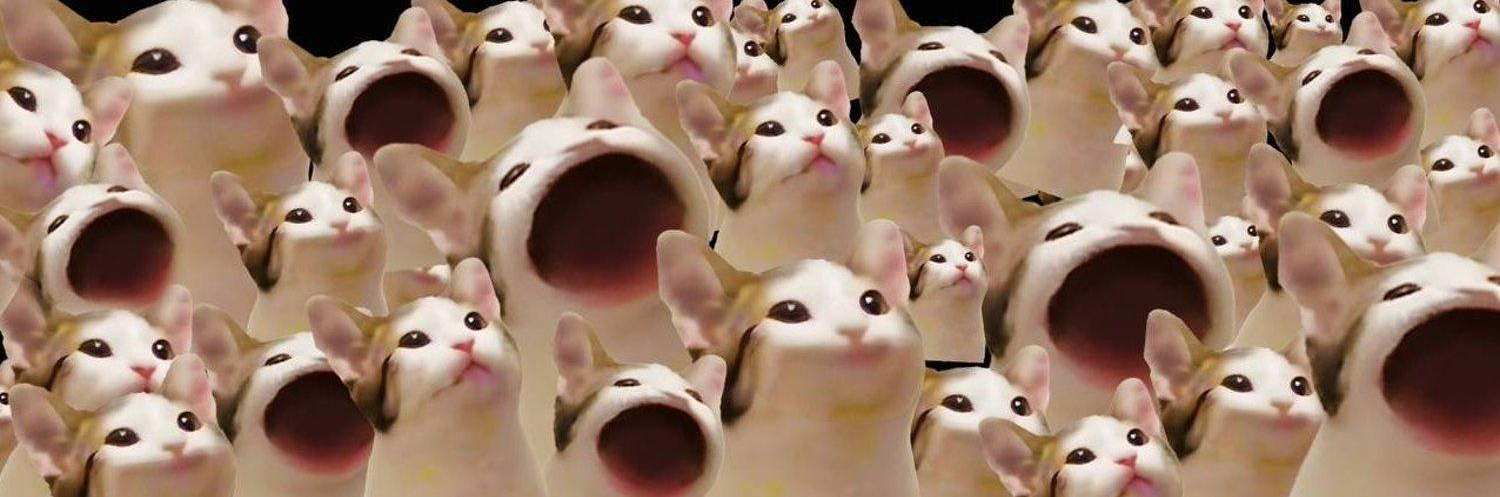 Popcat (POPCAT) Price Prediction 2025, 2026-2030