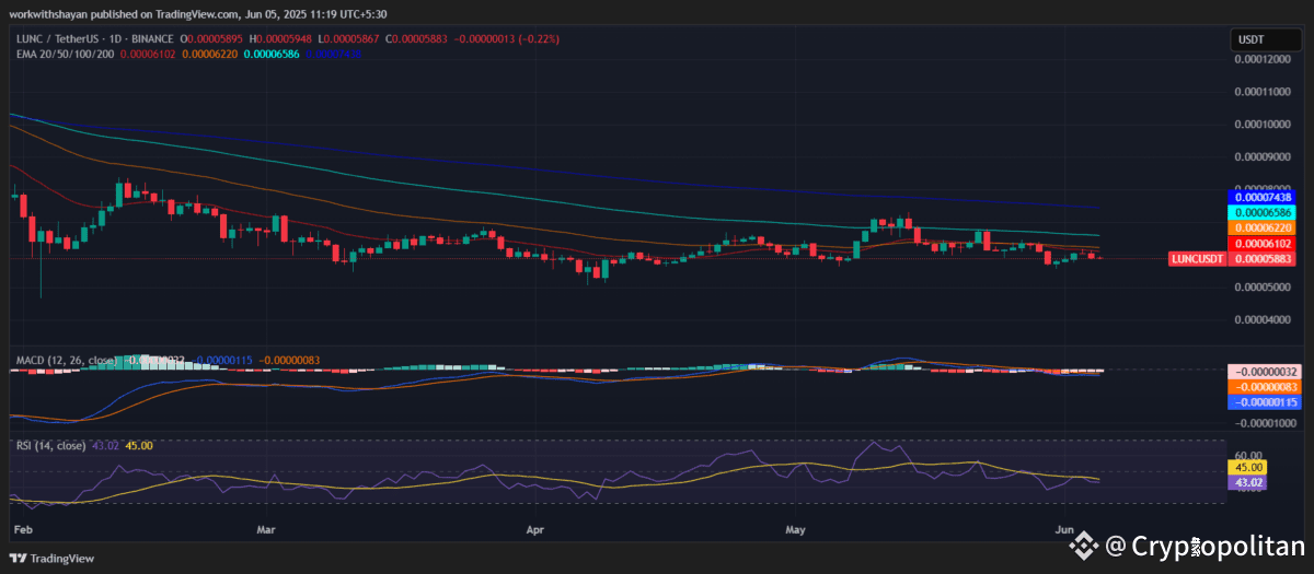 Terra Luna Classic Price Prediction 2025-2031: Is LUNC A Good Investment?