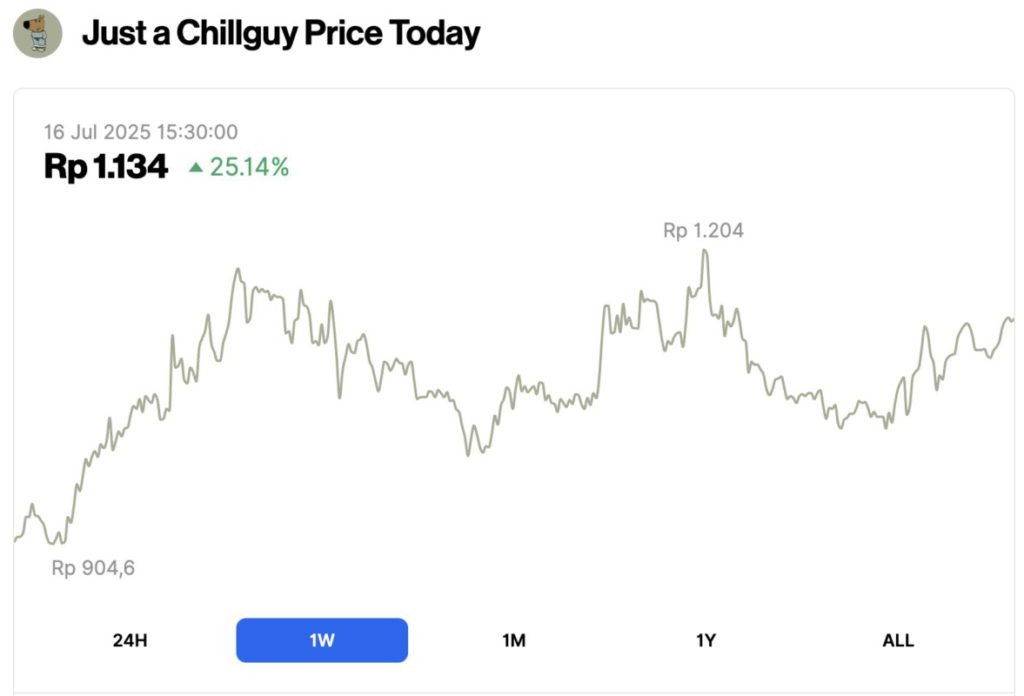 CHILLGUY Crypto Explodes 25%, What Makes Just a Chill Guy Attract Investors?