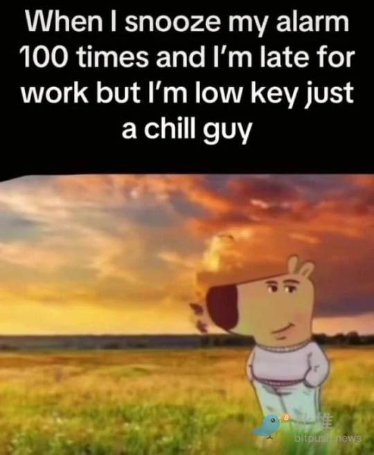 Chillguy&#39;s highest price has risen to 500 million US dollars, and the smart money has made a lot of money