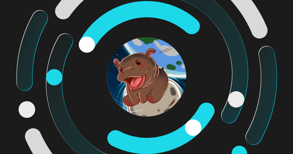 Will Moo Deng Be the Next 100x Solana Meme Coin?