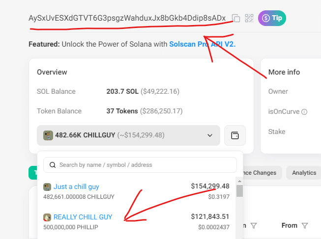 TikTok Meme Coins: How to Find the Next Big One