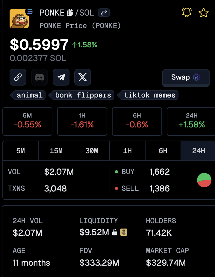 TikTok Meme Coins: How to Find the Next Big One