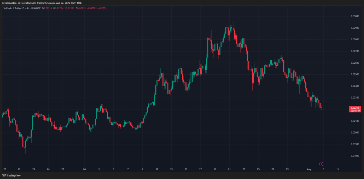 VeChain price prediction 2025-2031: What’s the growth potential of VET?