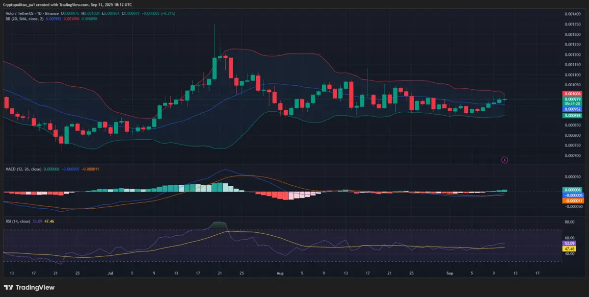 Holo Price Prediction 2025-2031: Will HOT price reach ?