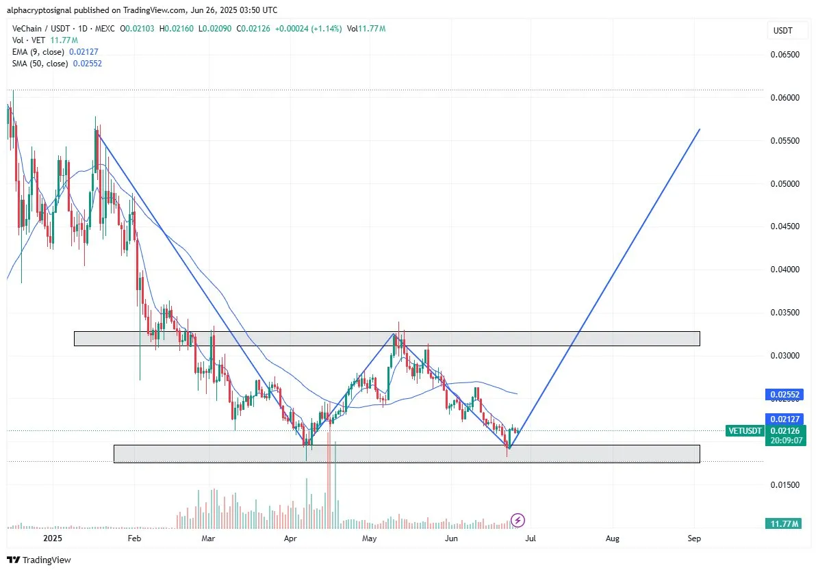 VeChain Price Prediction: VET Set for Breakout as Stargate Launch Nears