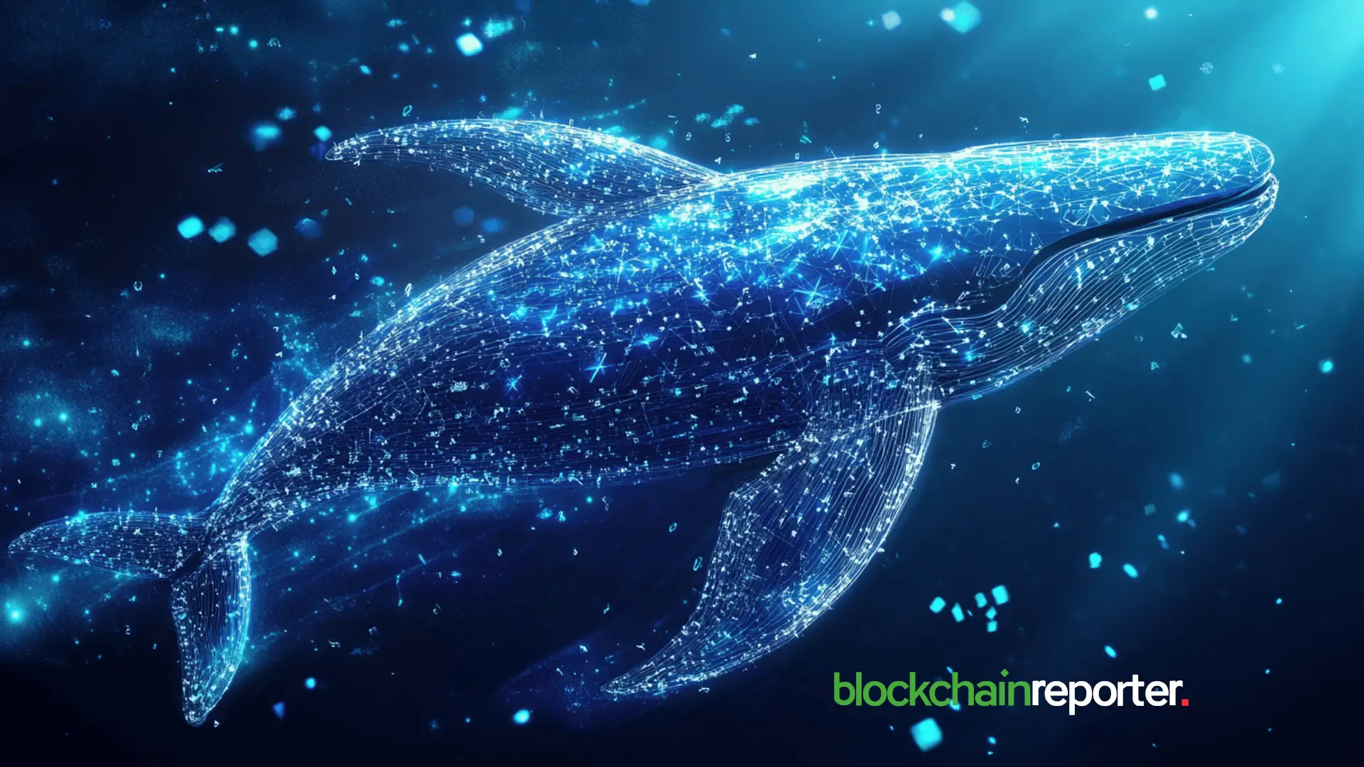 Whales Turn to FF Token Accumulation Amid Falcon Finance’s 37.9% Price Slump