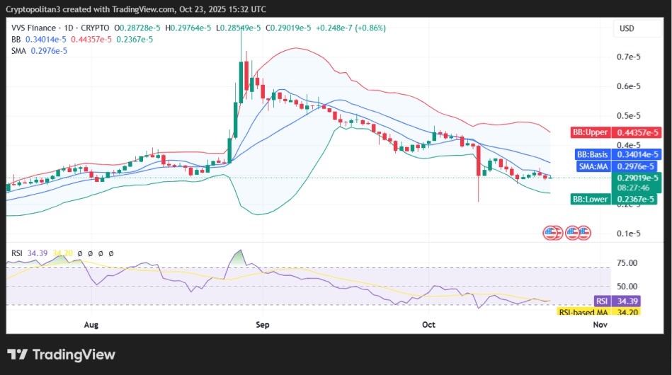 VVS Crypto Price Prediction 2025 – 2031: Is VVS Finance a Good Investment?
