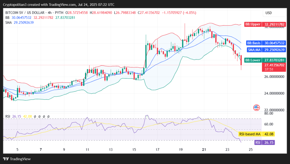 BSV Price Prediction 2025-2031: Will Bitcoin SV Hit 0 Soon?