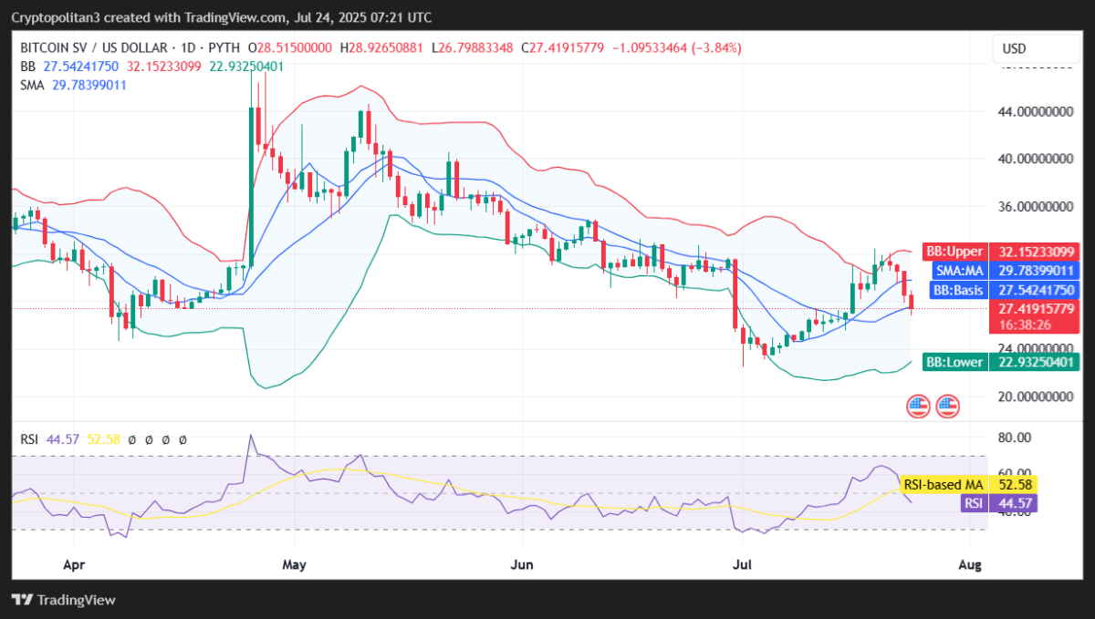 BSV Price Prediction 2025-2031: Will Bitcoin SV Hit 0 Soon?