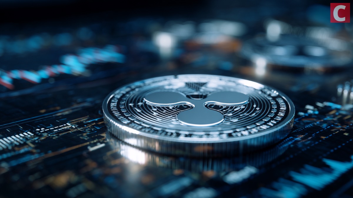 DWP Management Bags $200 Million In-Kind Contributions In XRP