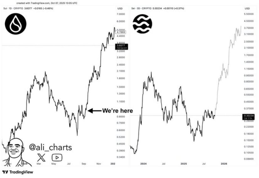 Sei Coin Poised for a Massive Bull Run Toward  as Chart Patterns Mirror Sui’s 2024 Rally