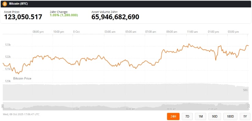 Bitcoin (BTC) Price Today: Bitcoin Surges Above $123K as Whales ...