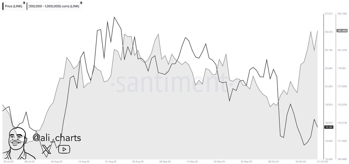 Cardano &amp; DOGE Show Bullish Divergence — Analysts Highlight 5 Best Altcoins to Buy Before Bitcoin’s Next Rally