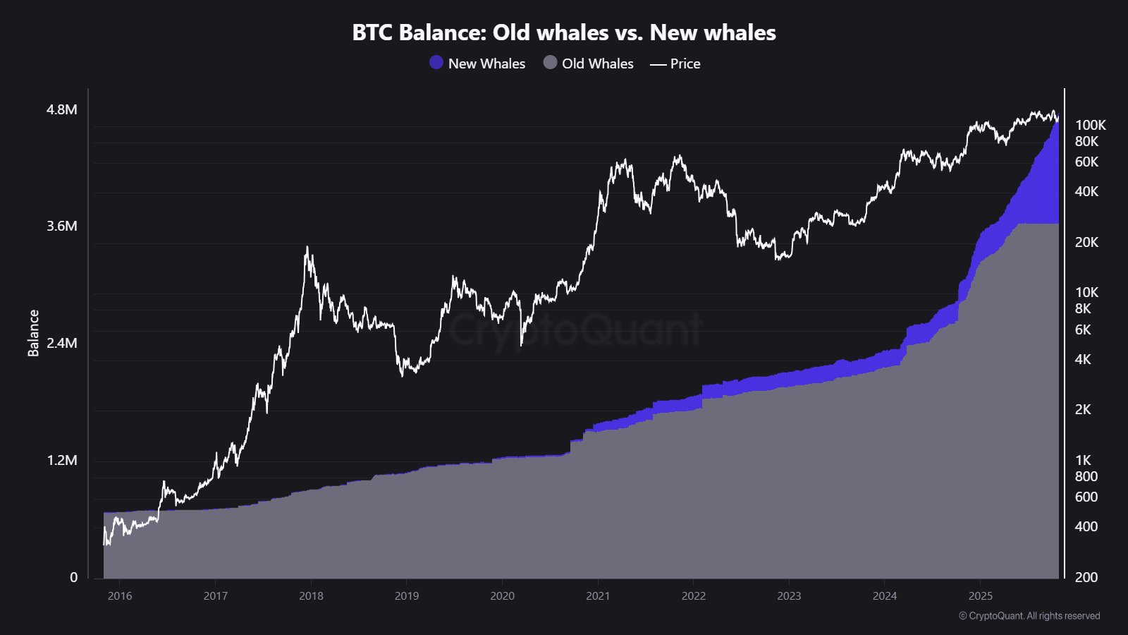 New Bitcoin Whales Back In Green: 1.14 Million BTC No Longer Underwater