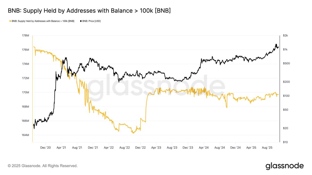 Best Crypto To Buy Now: Analysts See BNB and ZCash Gains Rotating Into This Viral Payment Token