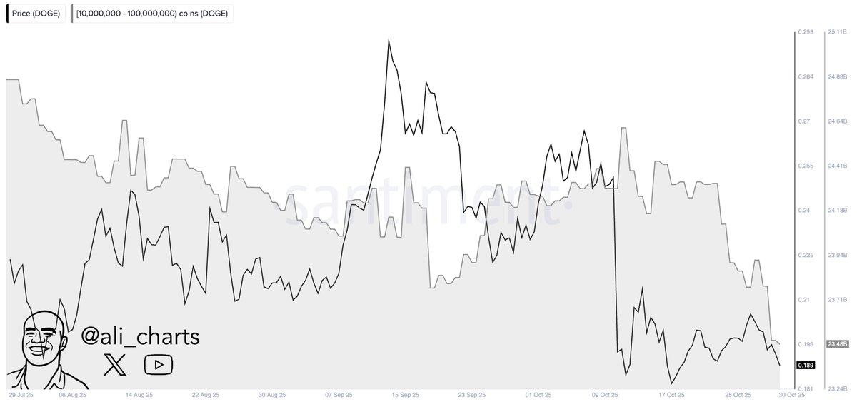 Best Altcoin to Buy Now: 440M DOGE Sold - Whales Exit as Tapzi Presale Nears 70%