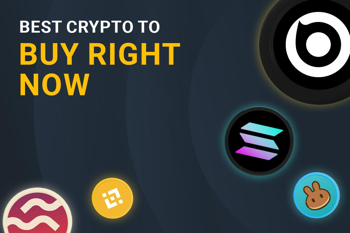 Best Crypto To Buy Right Now - November’s Handpicked Cryptos for Massive Gains