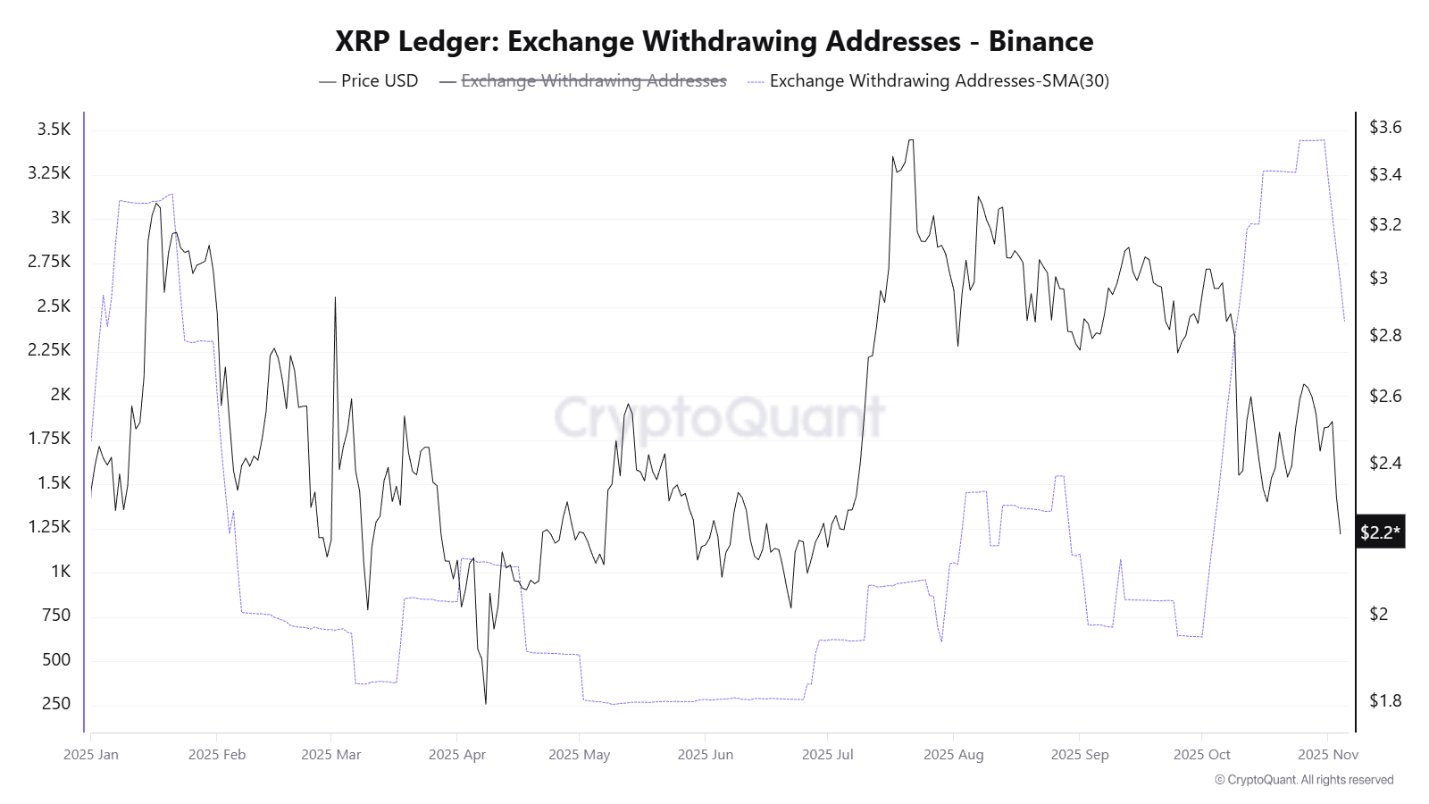 3 Diverging Signals Show XRP Investors Holding Firm Despite Market Fear 3 Diverging Signals Show XRP Investors Holding Firm Despite Market Fear