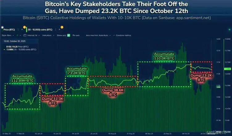 Bitcoin Price Prediction: BTC Whales Are Taking Profit, Here’s Where Capital Could Be Headed Next Bitcoin Price Prediction: BTC Whales Are Taking Profit, Here’s Where Capital Could Be Headed Next