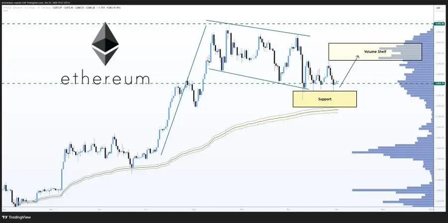 Crypto News: Ethereum ETFs see 8M inflows But Experts Say Mutuum Finance Is The Crypto To Buy