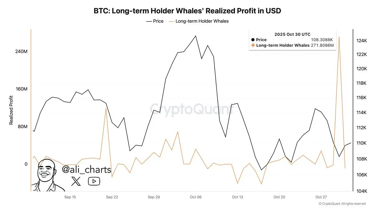 Is Bitcoin Price About To Drop To K? Analysts Predict These Altcoins To Still Make New Highs In 2025