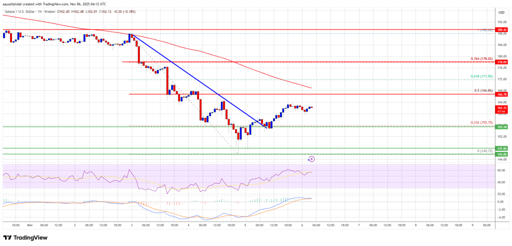 Solana (SOL) Recovery Attempt Builds, But Volume Still Signals Caution