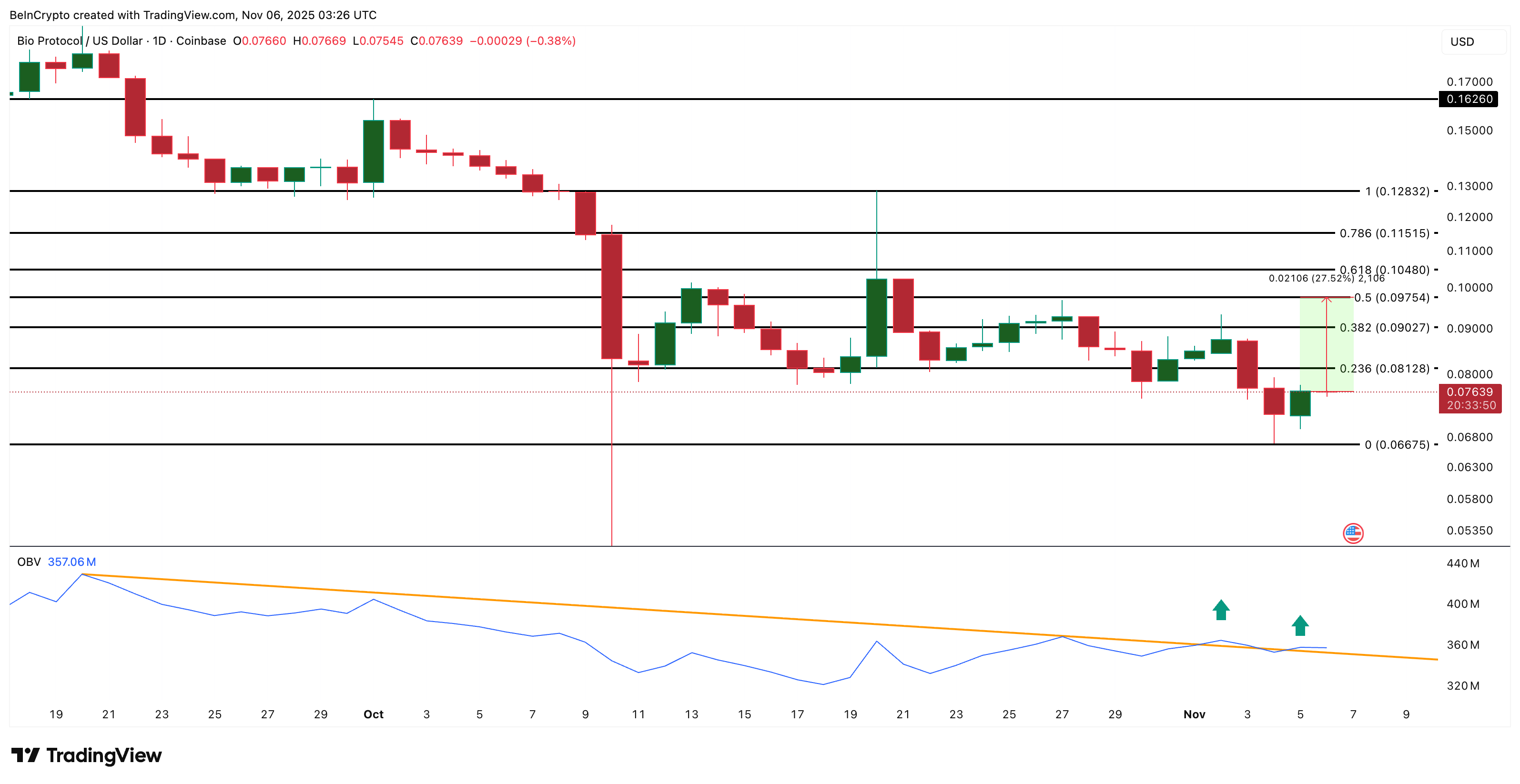 What Altcoins Whales Are Buying After the Early November Crypto Crash?