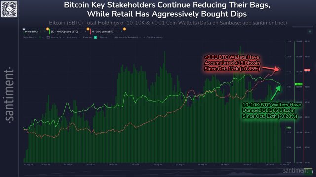 Bitcoin Whales Cash Out, Retail Doubles Down – BTC Ownership Structure Faces Major Flip