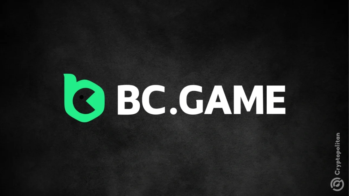 Top 6 Crypto Casinos for Instant Withdrawals and No KYC (November 2025)