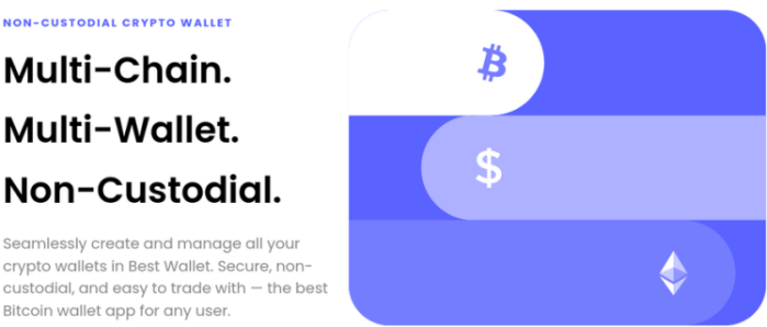 Nvidia’s B Earnings Test and Fed Minutes Put Best Wallet Token in Play