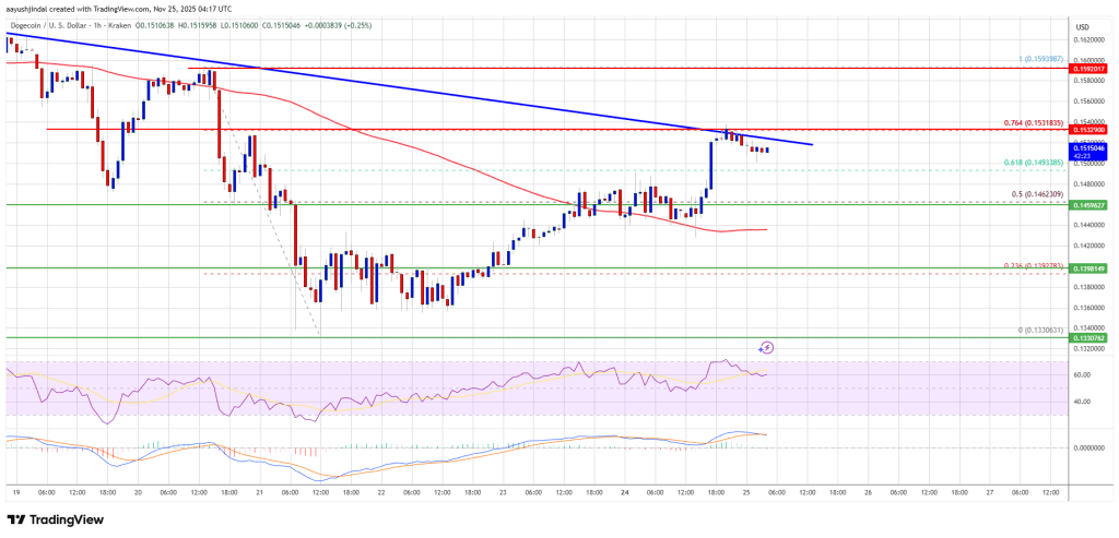 Dogecoin (DOGE) Hits Resistance, Recovery Momentum Shows First Signs of Fading