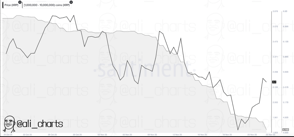 Fear Surges, But Real XRP Holders Aren’t Shaken—Analyst
