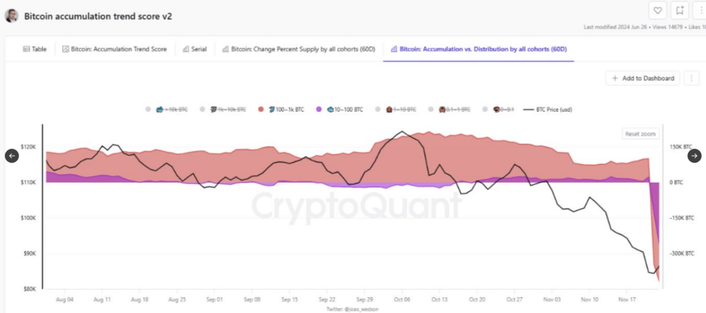 Bitcoin Faces More Downside After Recent Crash, Data Shows