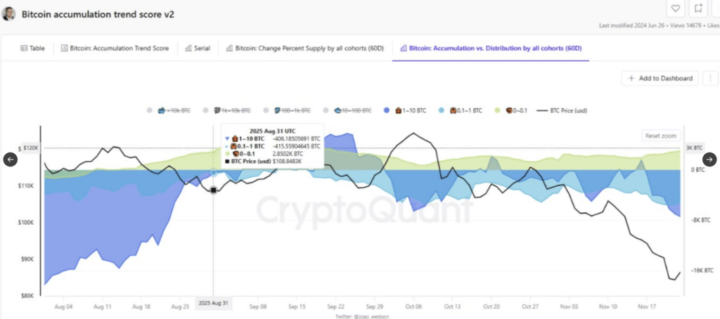 Bitcoin Faces More Downside After Recent Crash, Data Shows