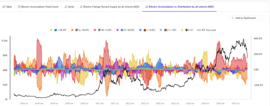 Has The Bitcoin Price Hit Its Bottom? Key On-Chain Data Signals Potential Rebound Ahead Has The Bitcoin Price Hit Its Bottom? Key On-Chain Data Signals Potential Rebound Ahead