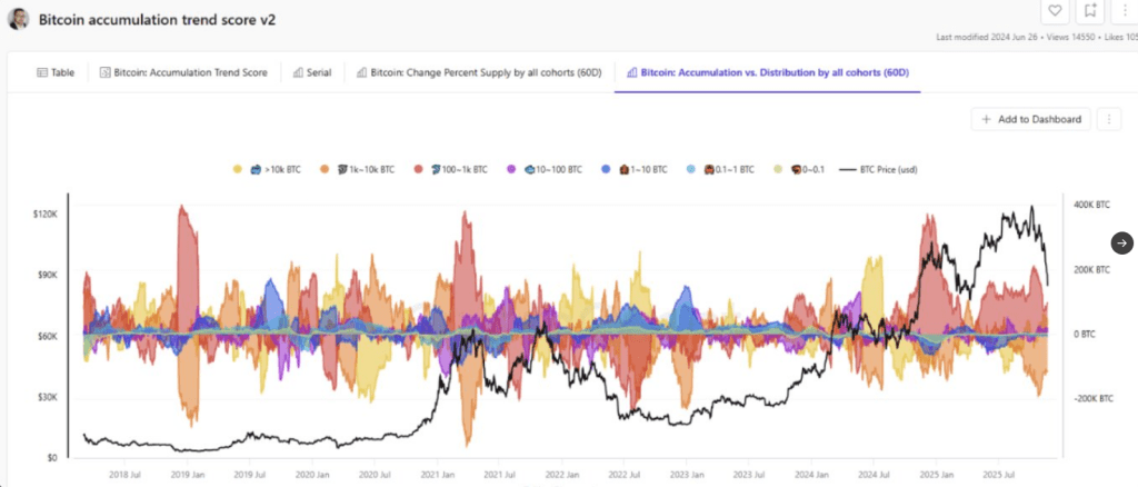 Bitcoin Faces More Downside After Recent Crash, Data Shows