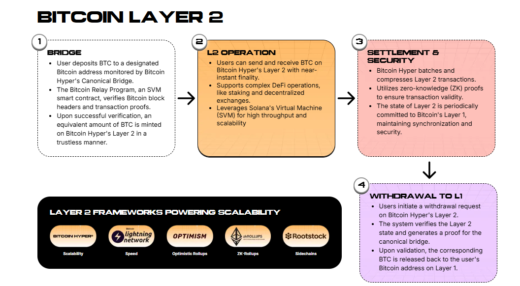 BNB Price Prediction: Will 8 Hold or Is Rotation Incoming?