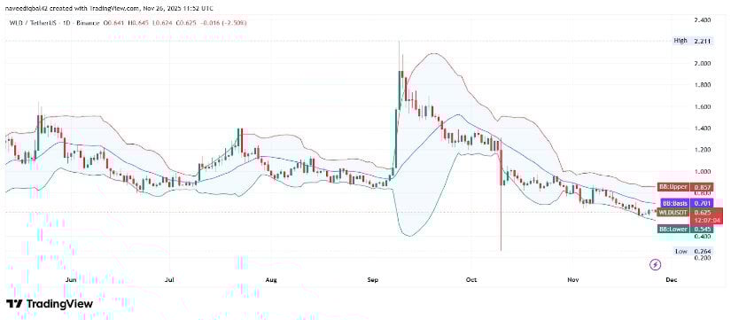 Worldcoin Price Stabilizes Near Lows as Open Interest Declines