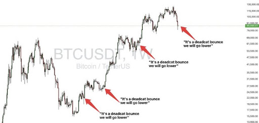 Bitcoin Dead Cat Bounce: Analyst Reveals What To Expect As Price Recovers Bitcoin Dead Cat Bounce: Analyst Reveals What To Expect As Price Recovers