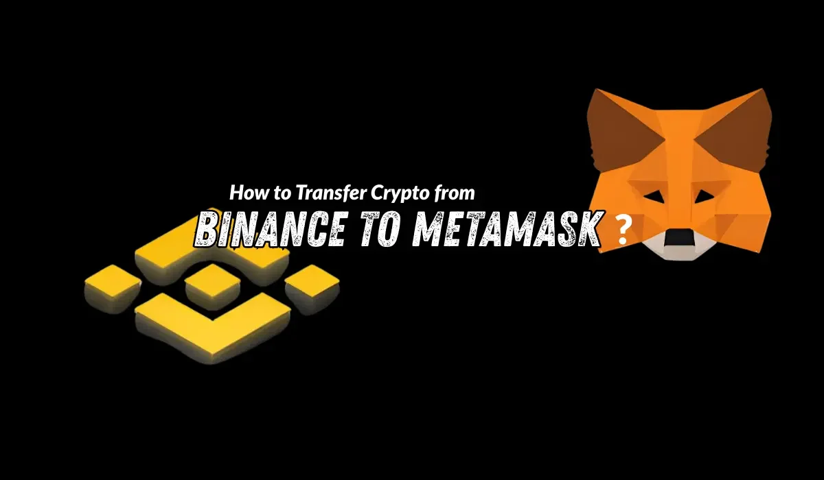 How to Transfer Crypto from Binance to MetaMask Safely? Step-by-Step Guide
