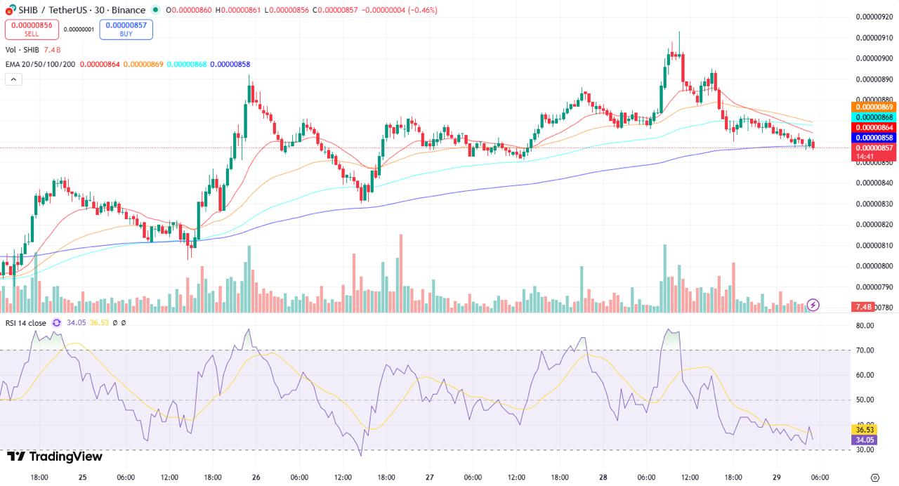 Shiba Inu, Pepe Coin See Declines While Remittix Strengthens Position as Top Rising Token Shiba Inu, Pepe Coin See Declines While Remittix Strengthens Position as Top Rising Token