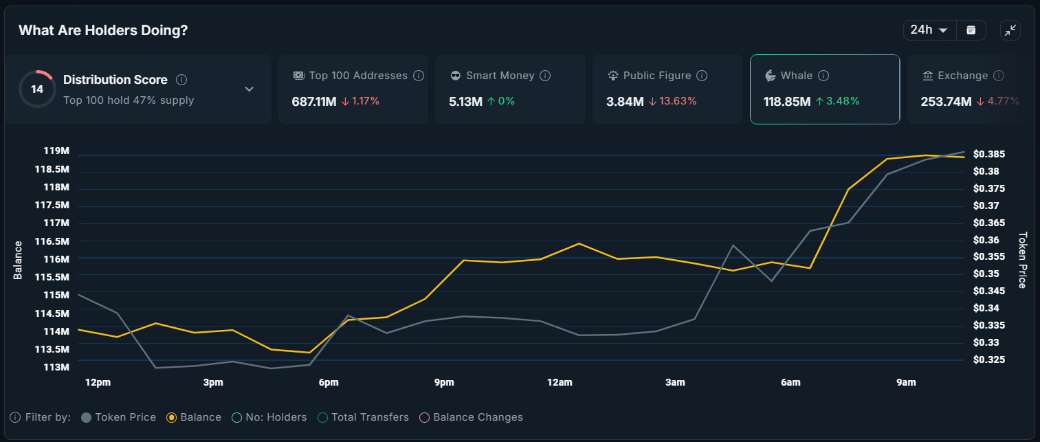 What Crypto Whales Are Buying as the Market Recovers? What Crypto Whales Are Buying as the Market Recovers?