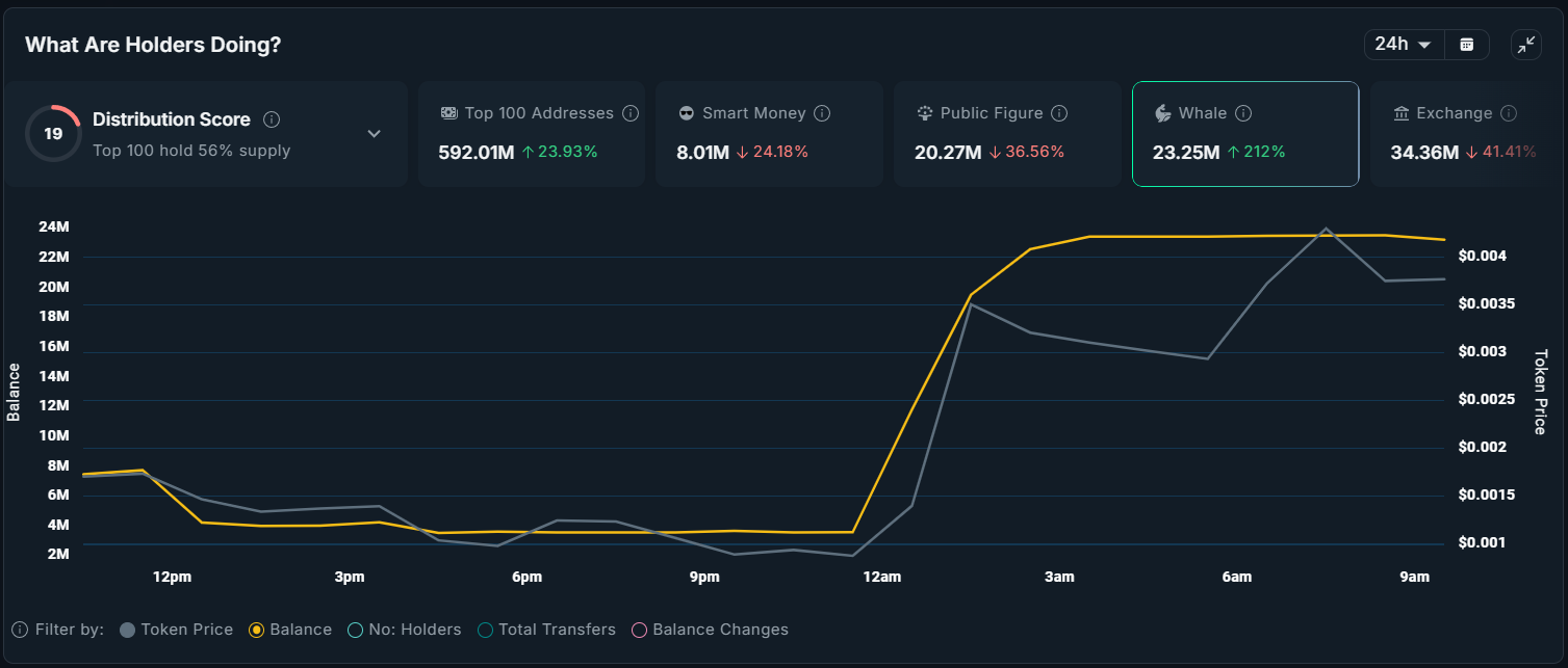 What Crypto Whales Are Buying as the Market Recovers? What Crypto Whales Are Buying as the Market Recovers?
