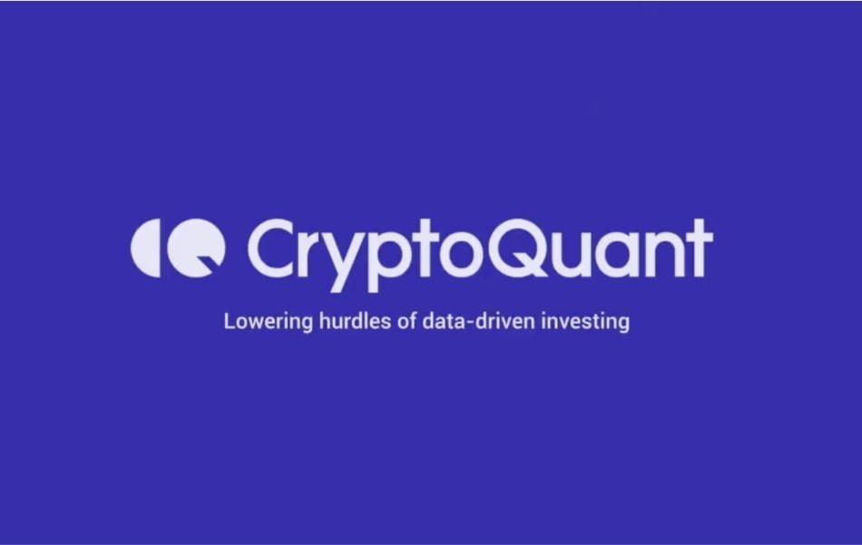 CryptoQuant: Strategy Sets USD Reserve Amid Bitcoin Bear Market CryptoQuant: Strategy Sets USD Reserve Amid Bitcoin Bear Market
