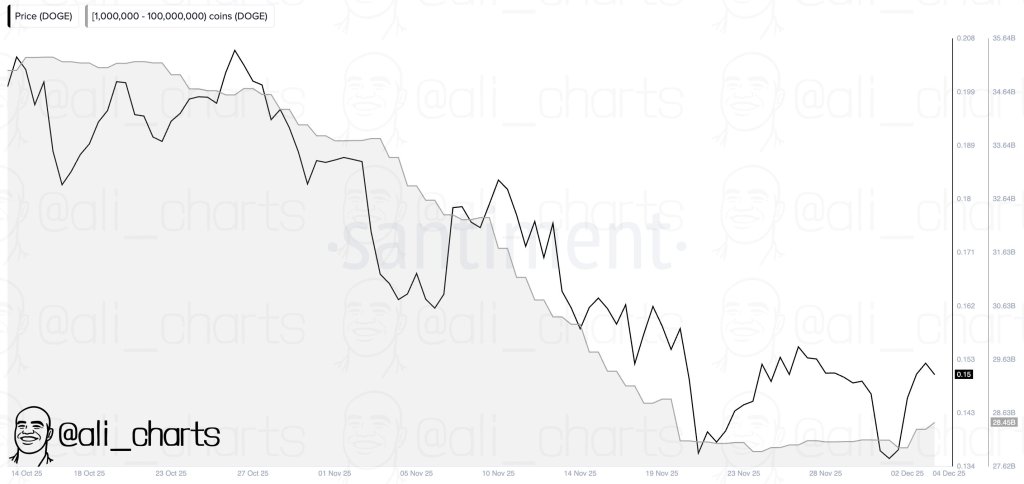 Dogecoin Bulls Smell .30 As On-Chain Data Turns Red-Hot Dogecoin Bulls Smell .30 As On-Chain Data Turns Red-Hot
