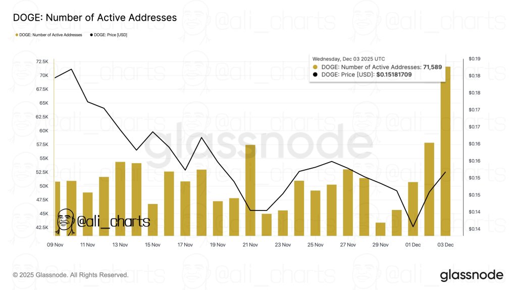 Dogecoin Bulls Smell .30 As On-Chain Data Turns Red-Hot Dogecoin Bulls Smell .30 As On-Chain Data Turns Red-Hot